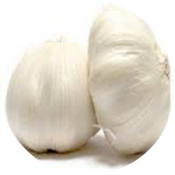 Fresh Garlic 